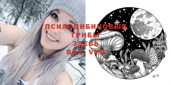 МДПВ Новодвинск