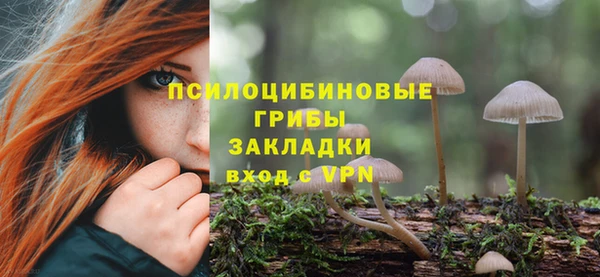 МДПВ Новодвинск