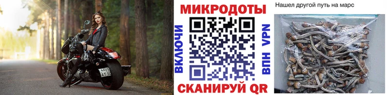 Псилоцибиновые грибы MAGIC MUSHROOMS  Котельнич 